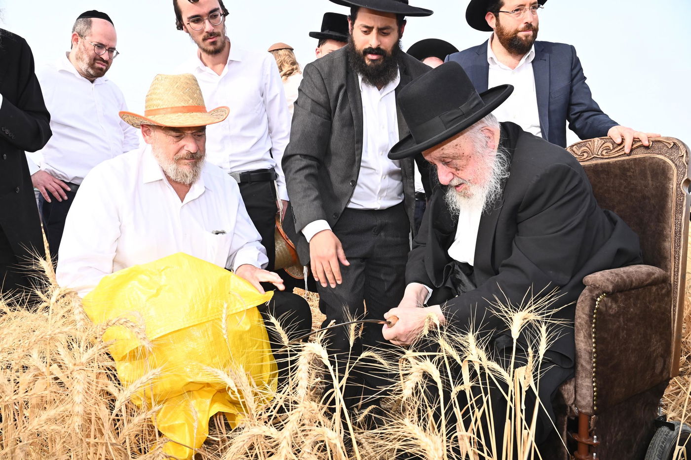 הגרב"ד פוברסקי בקצירת חיטים