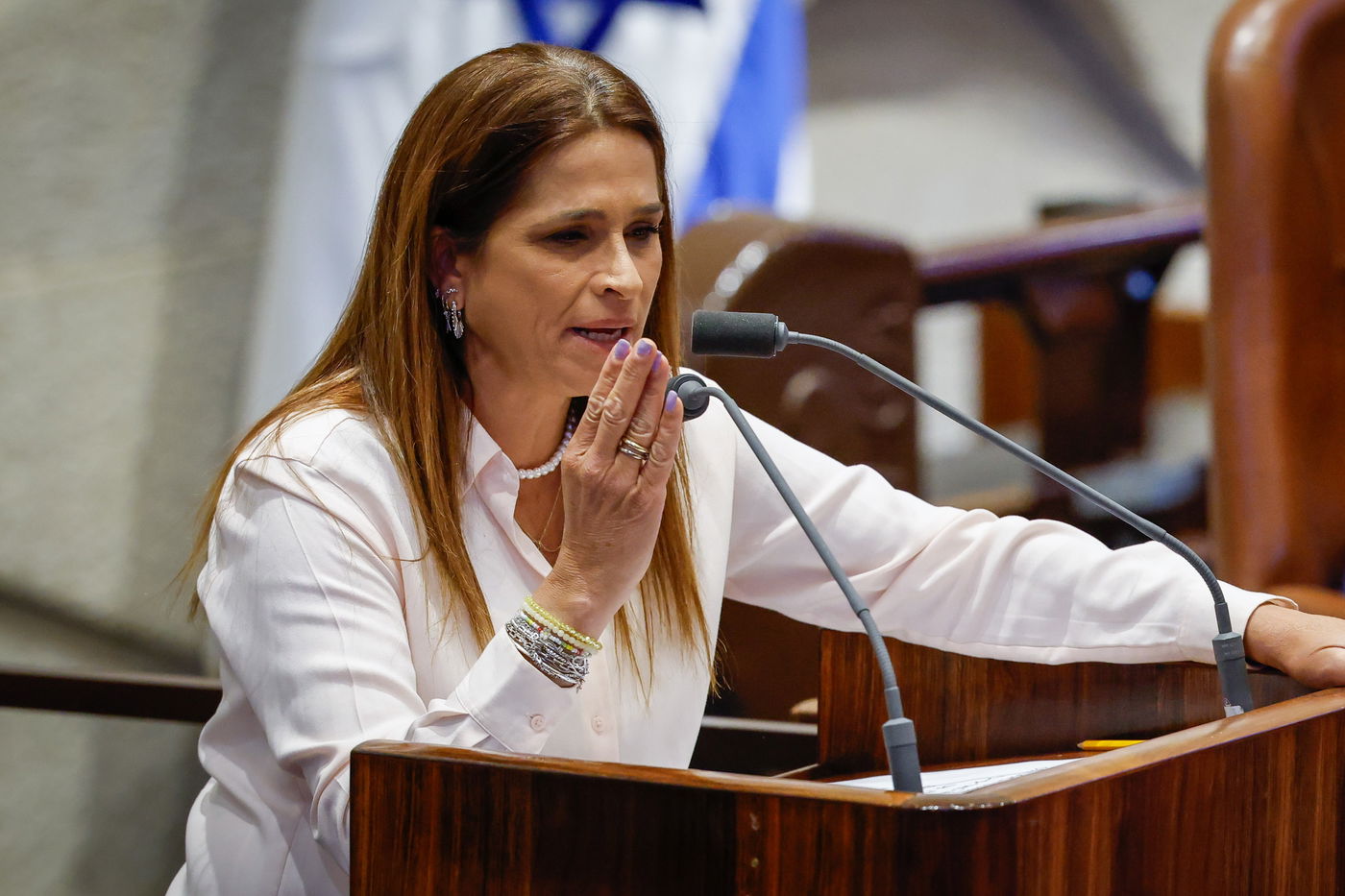 ח"כ מירב בן ארי