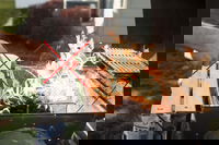 טיפים מיוחדים כיצד להישמר מפגיעת מדליקי פחמים