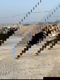 עזתים אוספים מצרכים ברצועה 