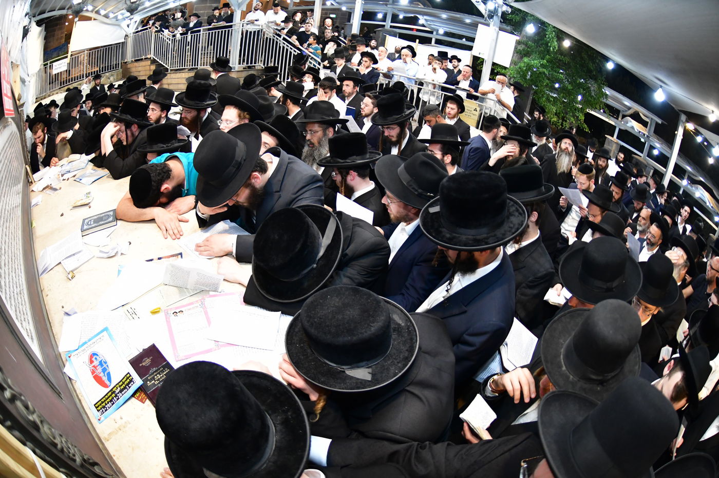 הילולת השל"ה הקדוש