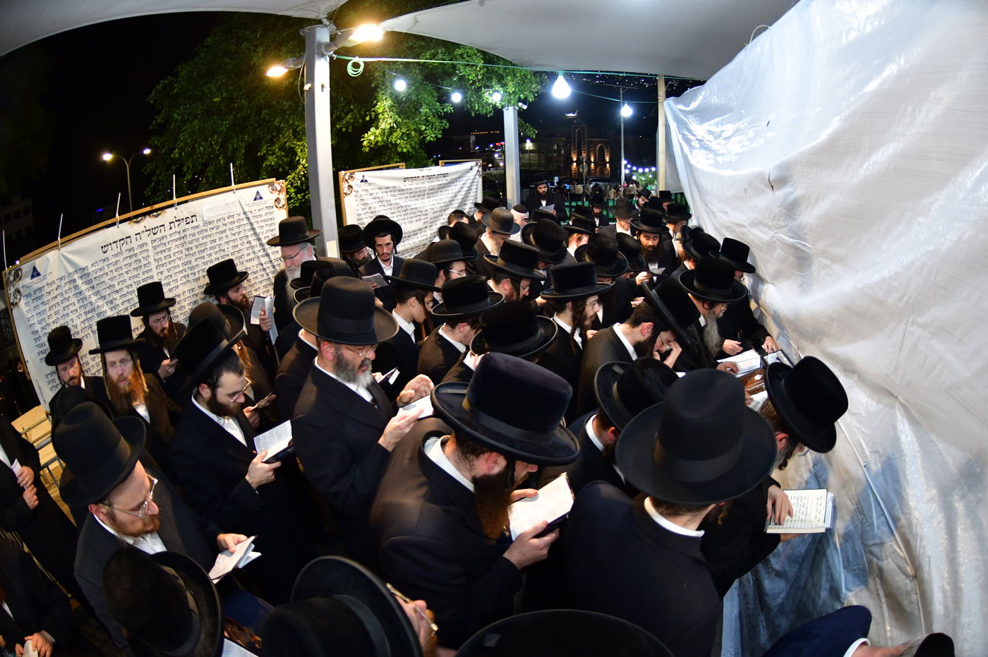 הילולת השל"ה הקדוש