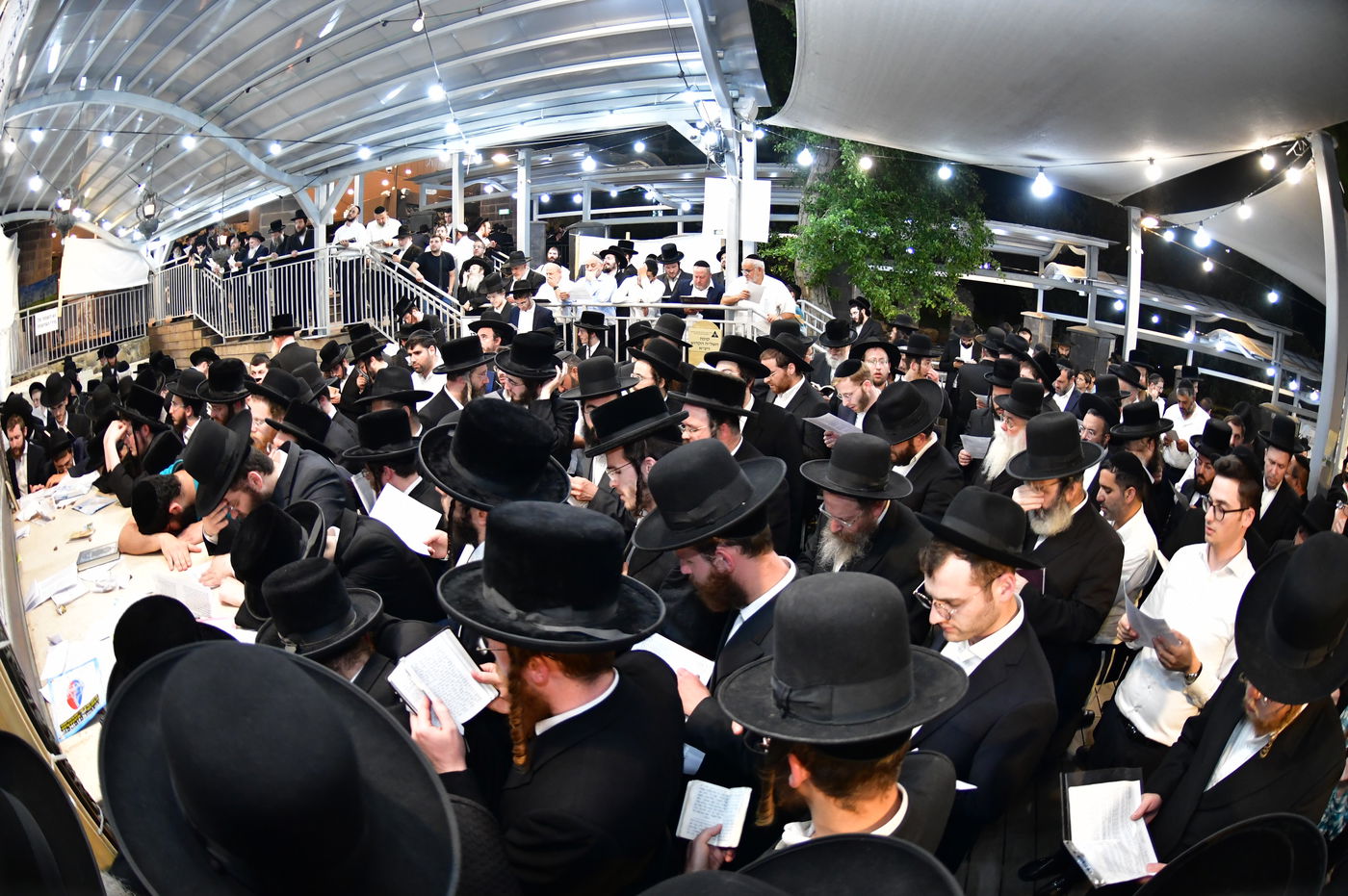 הילולת השל"ה הקדוש