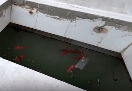 הליקויים החמורים שהתגלו במקווה הטהרה בשדרות