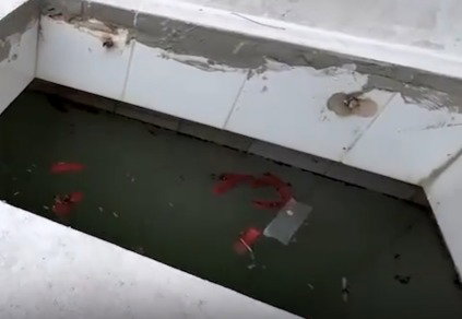 הליקויים החמורים שהתגלו במקווה הטהרה בשדרות