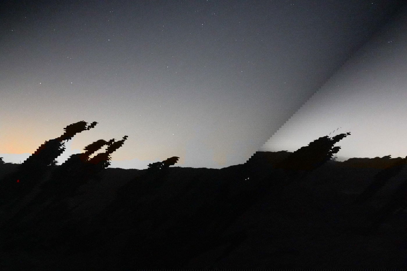 פעילות כוחות צה"ל ברצועה