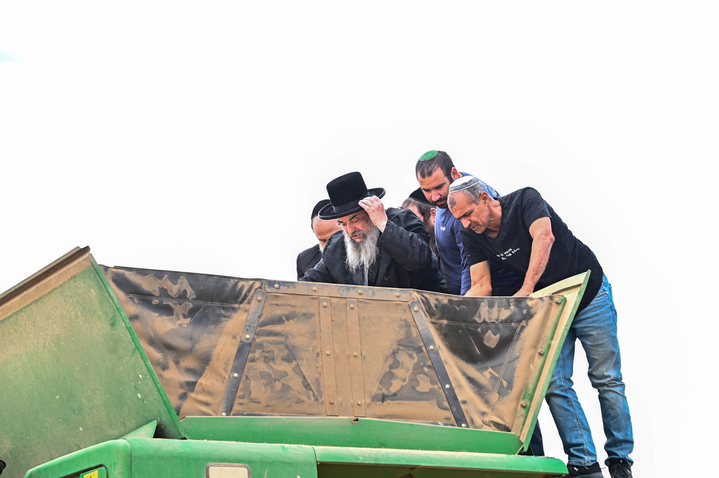 האדמו"ר מלעלוב בקצירת חיטים