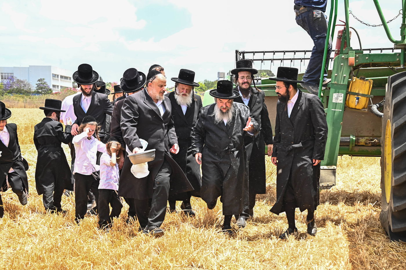 האדמו"ר מלעלוב בקצירת חיטים