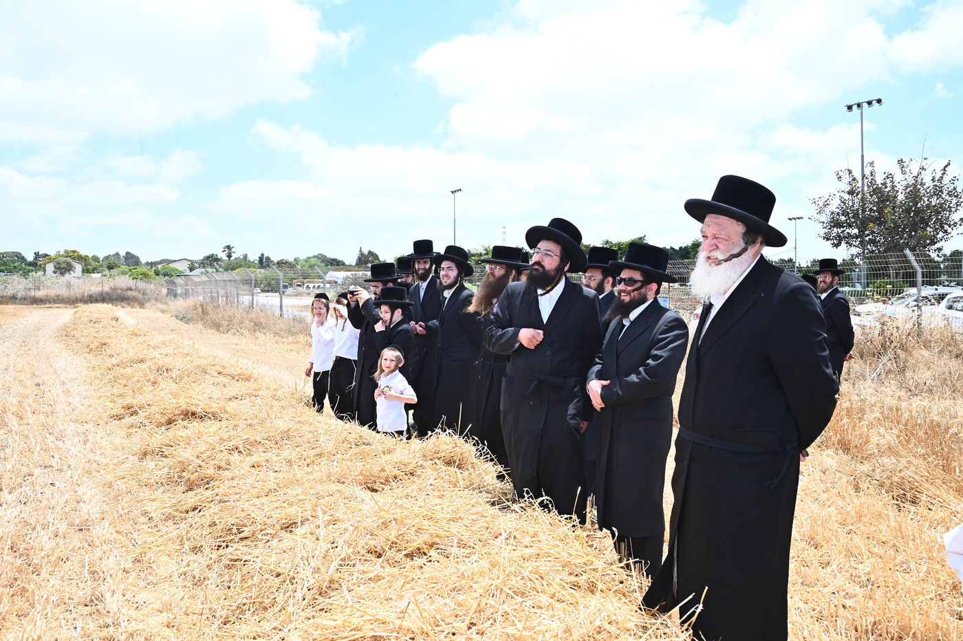 האדמו"ר מלעלוב בקצירת חיטים