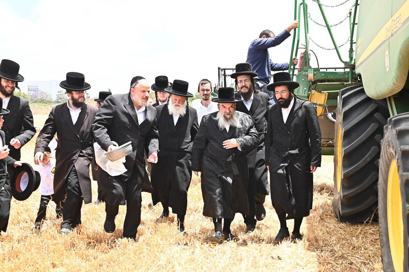 האדמו"ר מלעלוב בקצירת חיטים