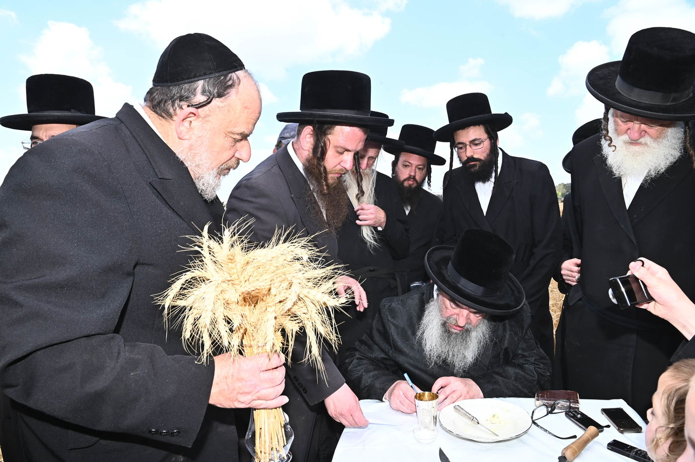 האדמו"ר מלעלוב בקצירת חיטים