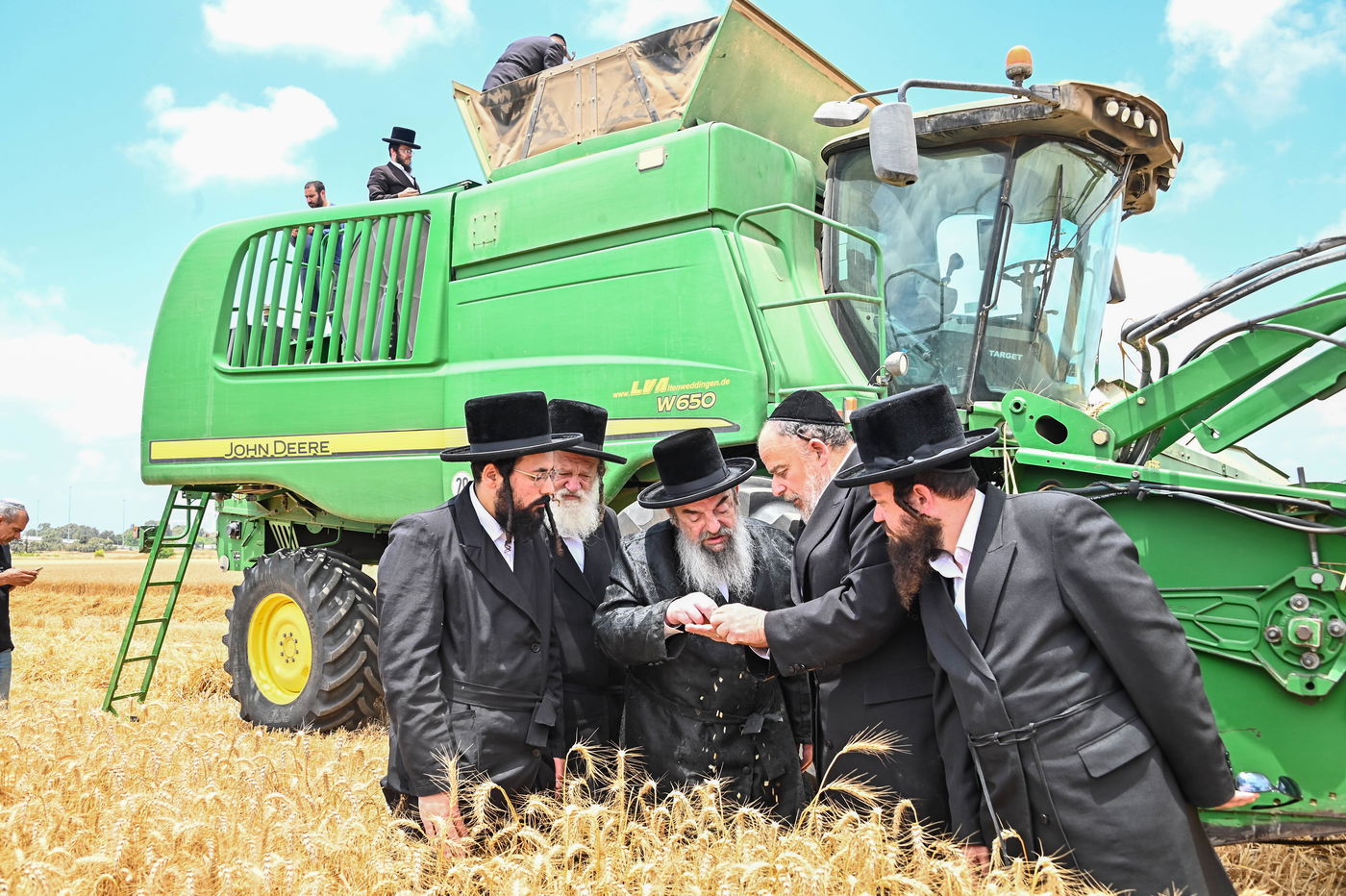 האדמו"ר מלעלוב בקצירת חיטים