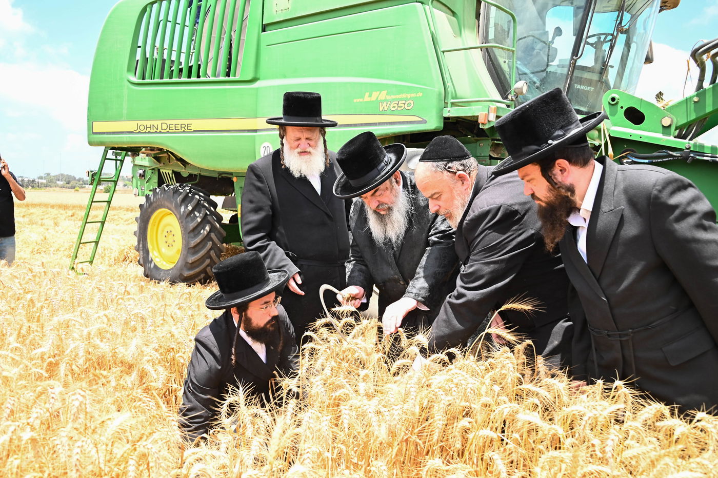 האדמו"ר מלעלוב בקצירת חיטים