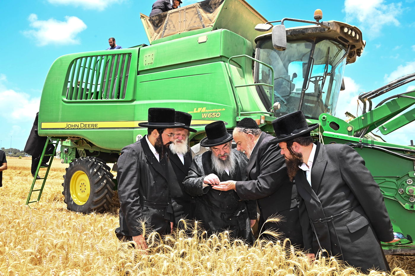האדמו"ר מלעלוב בקצירת חיטים