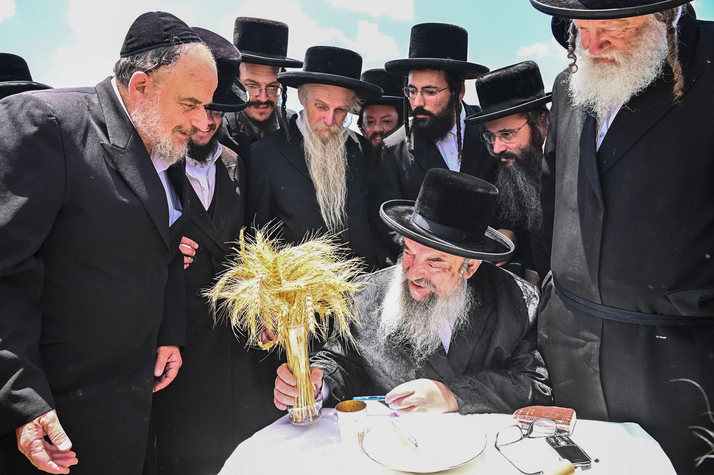 האדמו"ר מלעלוב בקצירת חיטים