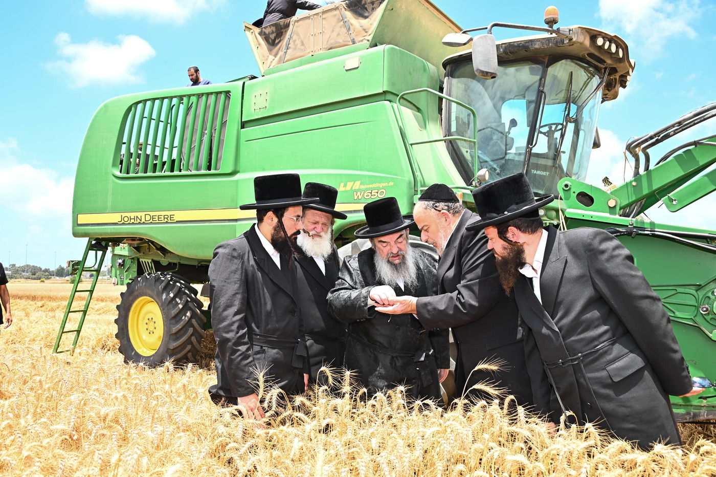 האדמו"ר מלעלוב בקצירת חיטים