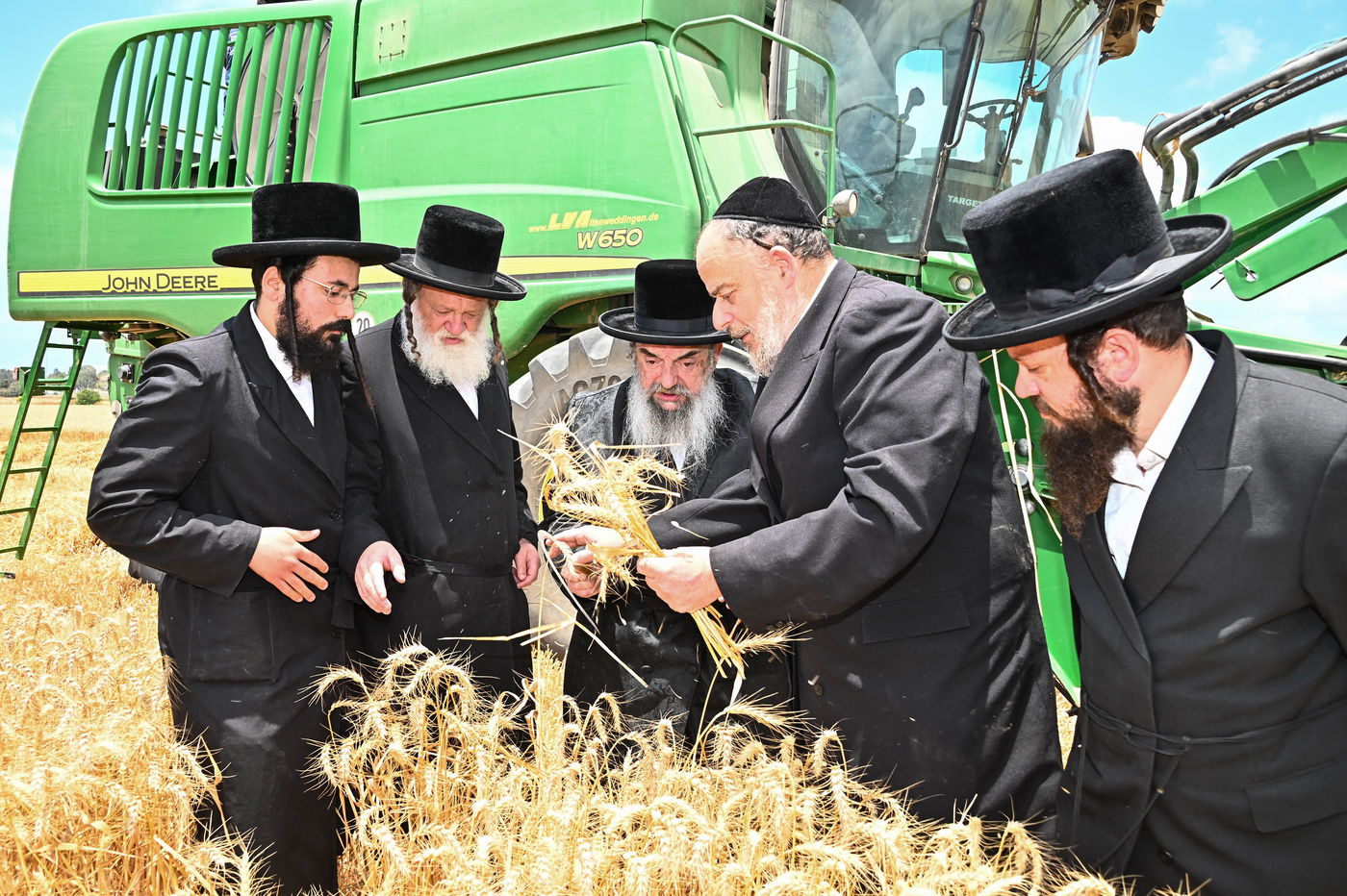 האדמו"ר מלעלוב בקצירת חיטים