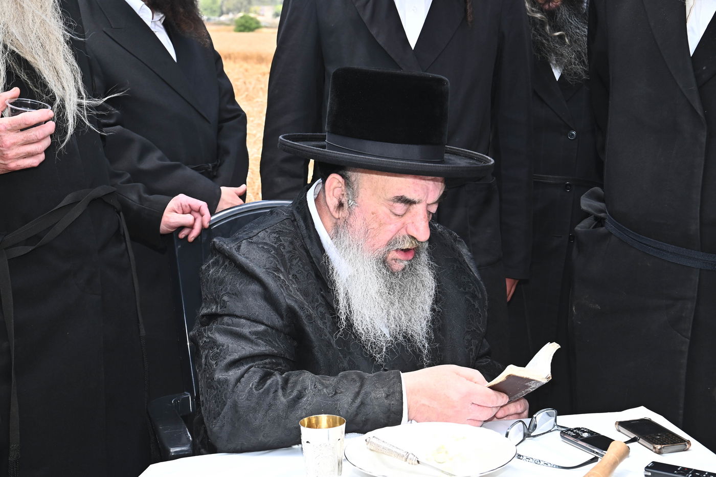 האדמו"ר מלעלוב בקצירת חיטים