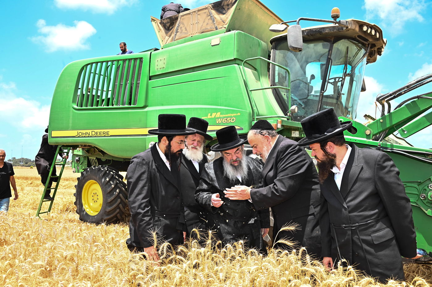 האדמו"ר מלעלוב בקצירת חיטים