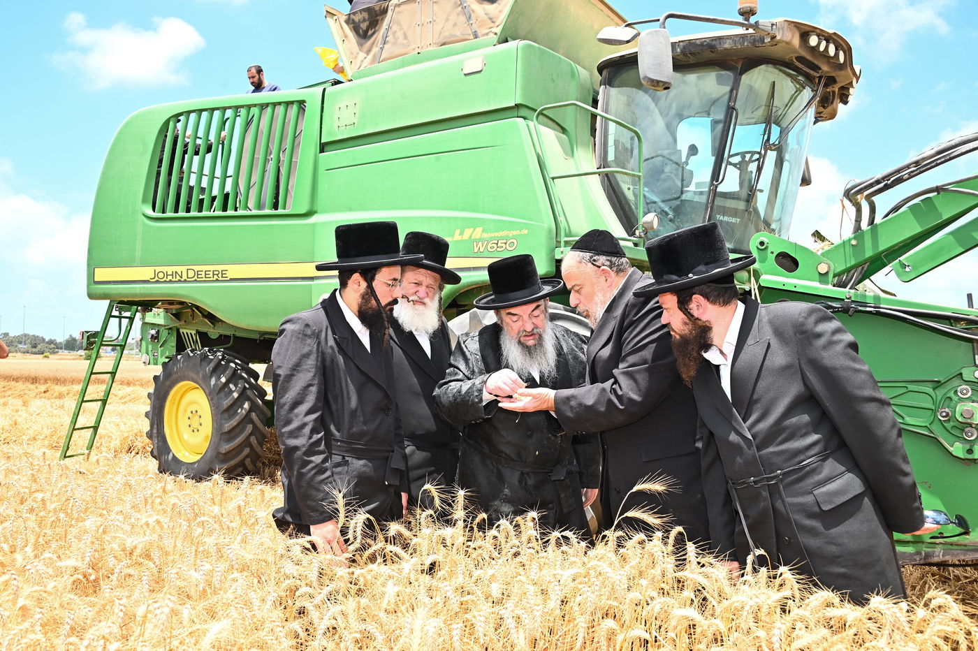 האדמו"ר מלעלוב בקצירת חיטים