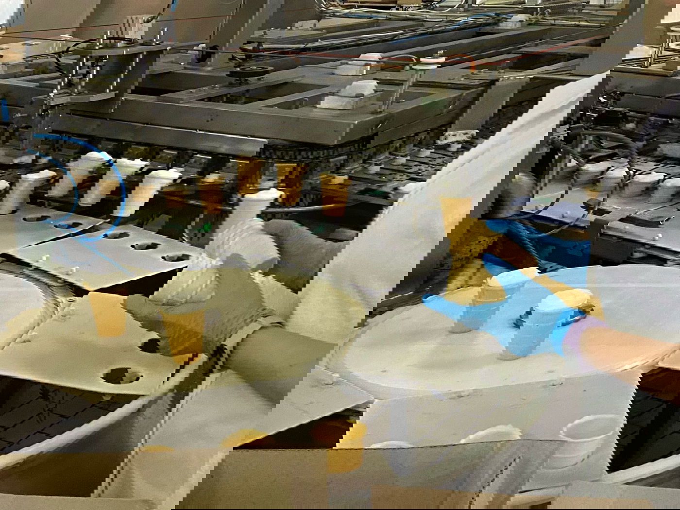 גבינות קשות, מוצרלה וגלידות: חגיגה לבנה ברקע המלחמה העזה