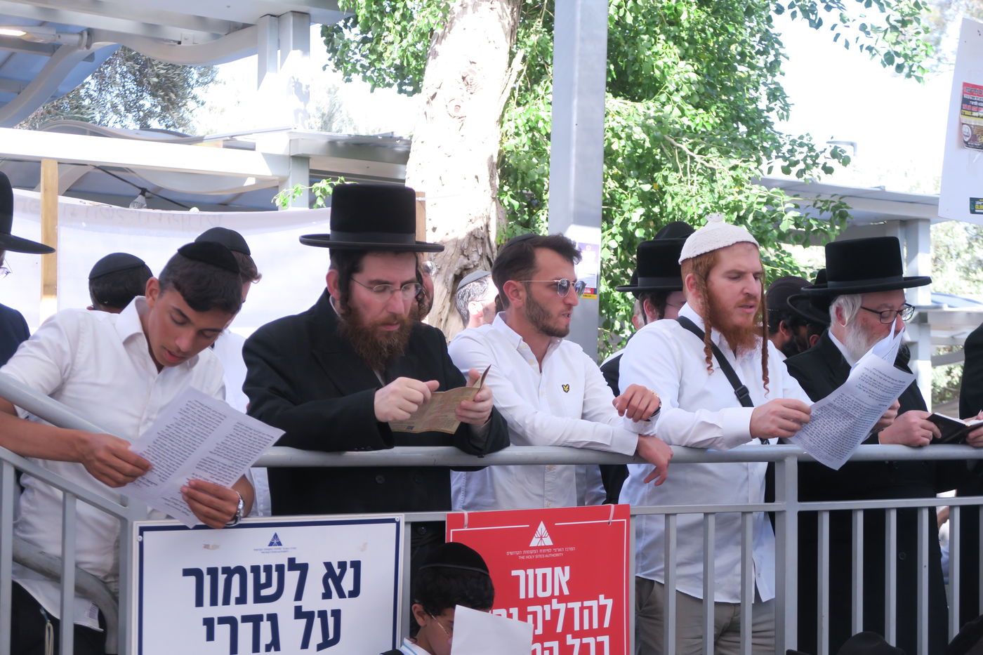 ער"ח סיון בציון השל"ה הק' בטבריה