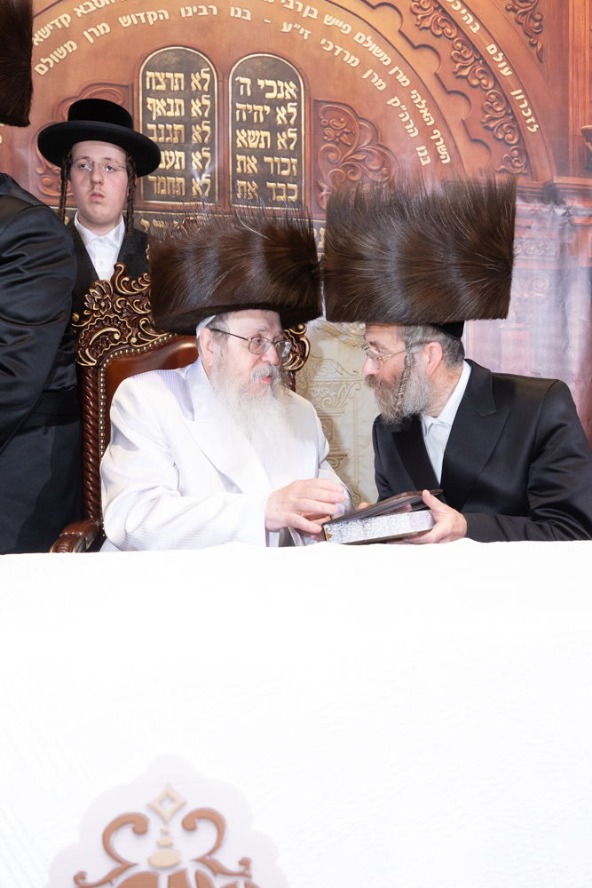 שבת נגידים בטאהש