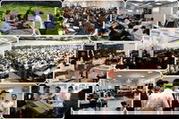 ממעלות ועד ירוחם: סקירה מקיפה על עולם "ישיבות הקיבוץ" | פרויקט חג