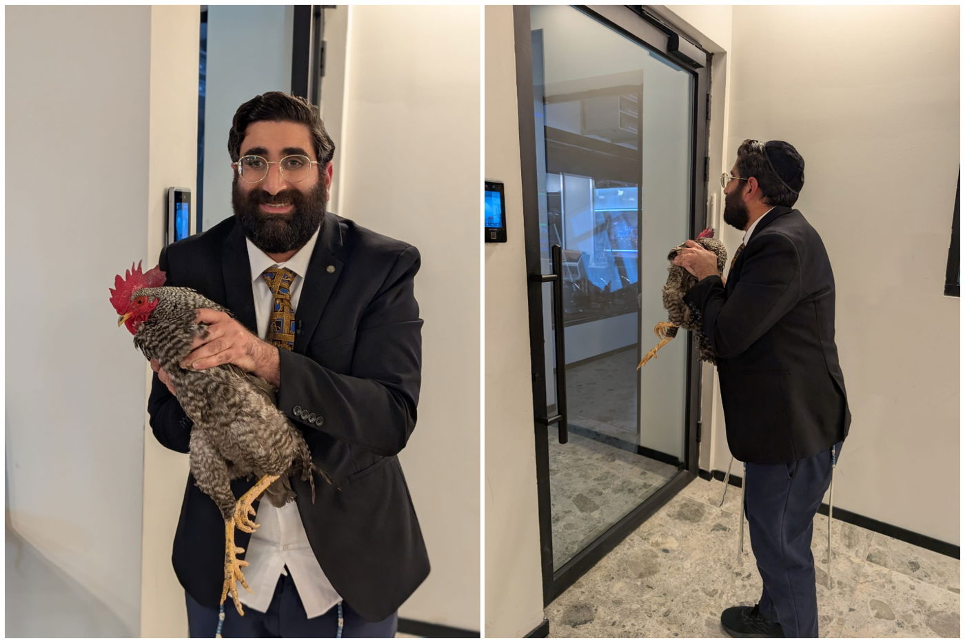 זופניק בכיכר | כל התמונות, הנייעס והחשיפות של השבוע