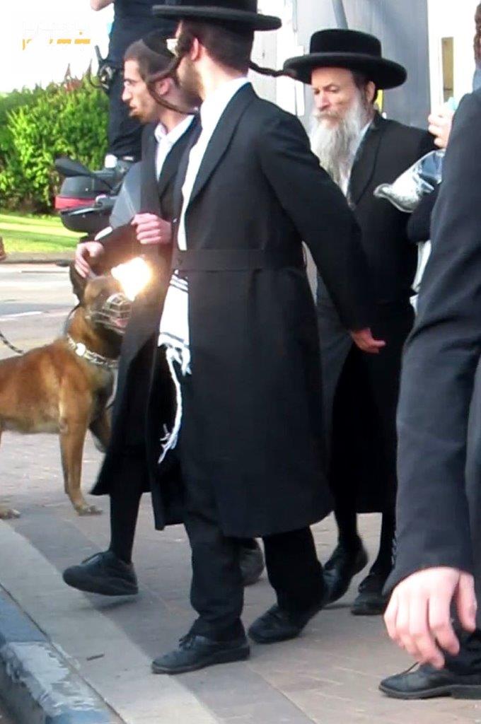 ההפגנות הסוערות ביהוד