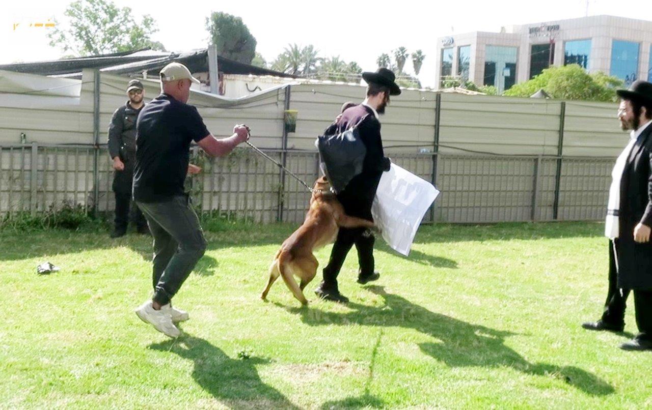 ההפגנות הסוערות ביהוד