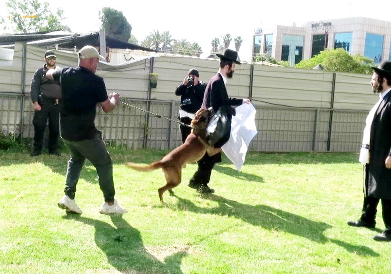 ההפגנות הסוערות ביהוד