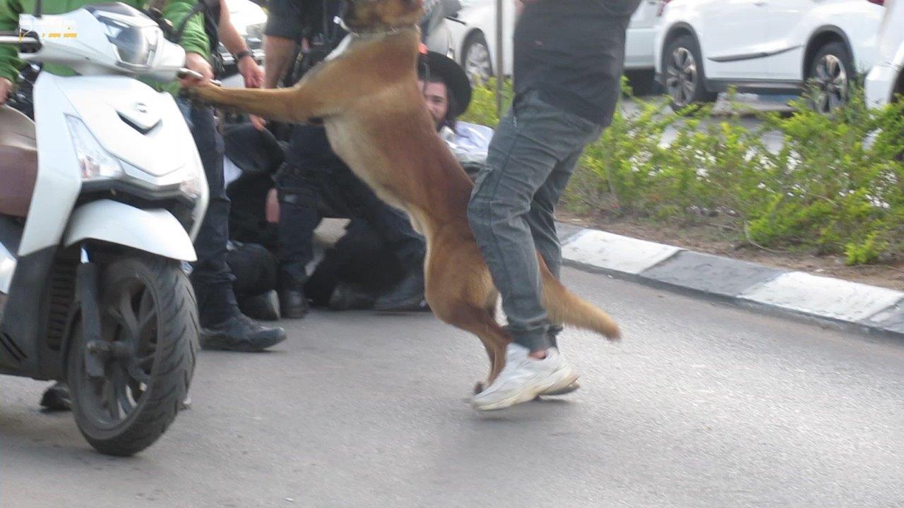 ההפגנות הסוערות ביהוד