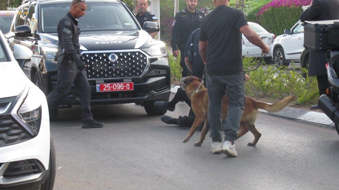 ההפגנות הסוערות ביהוד