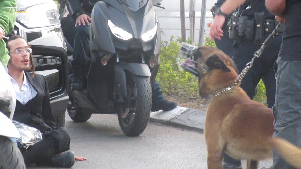 ההפגנות הסוערות ביהוד