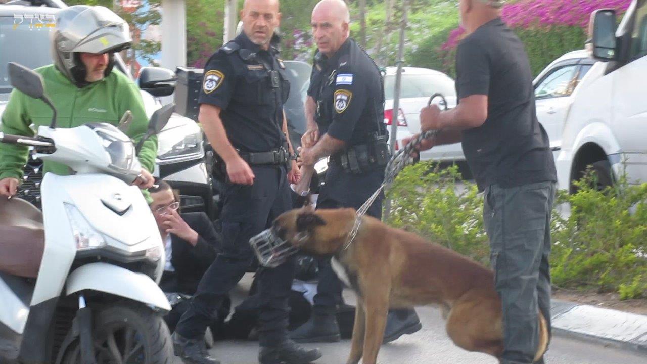 ההפגנות הסוערות ביהוד