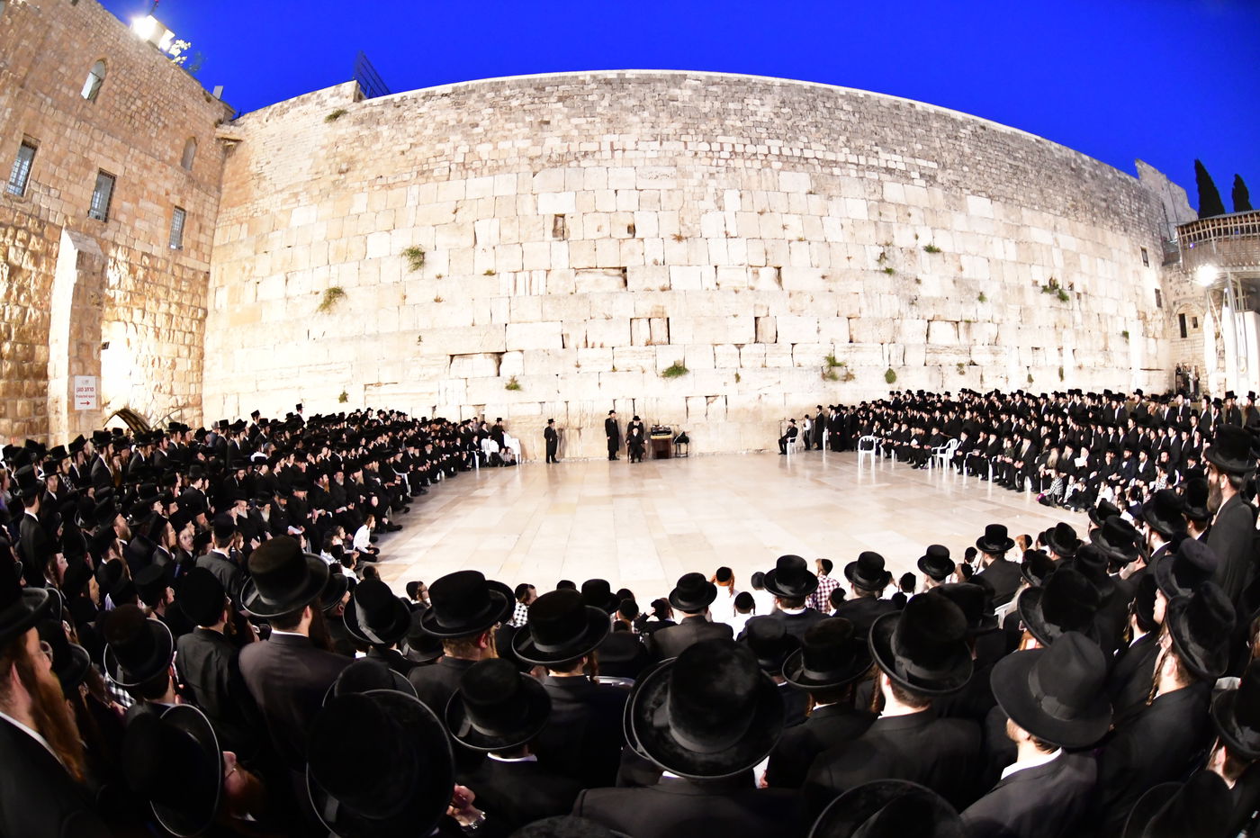 האדמו"ר מסערט ויז'ניץ בתפילה ע"י הכותל המערבי