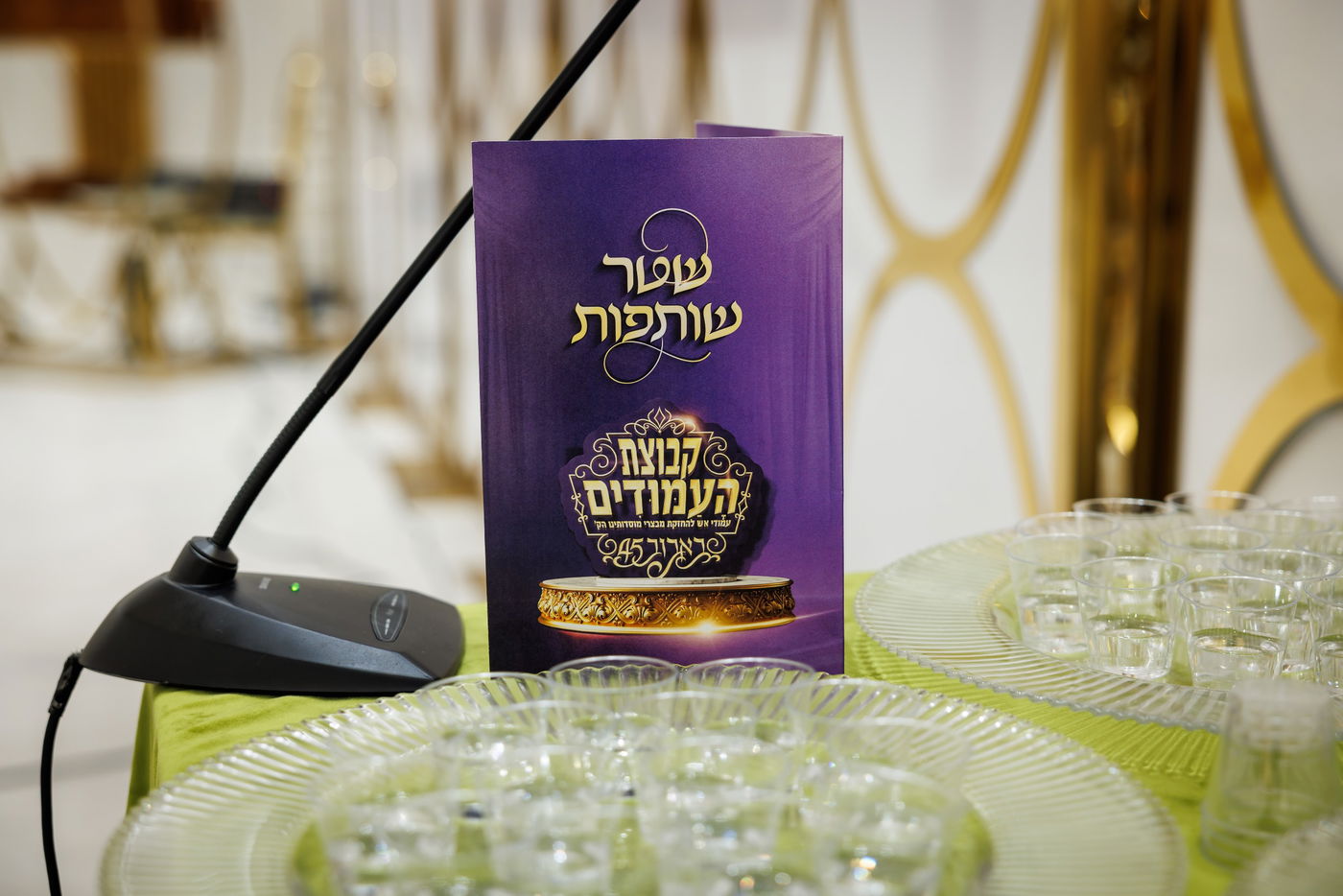 דינר לטובת איחוד מוסדות באבוב – 45