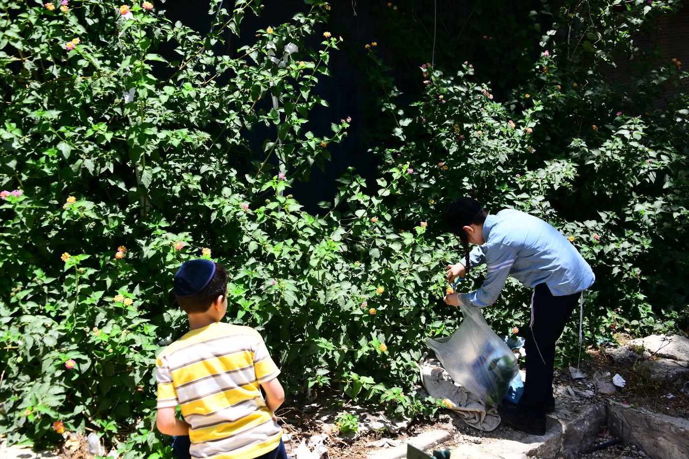 ערב שבועות תשפ"ה בעיר התורה והחסידות בני ברק