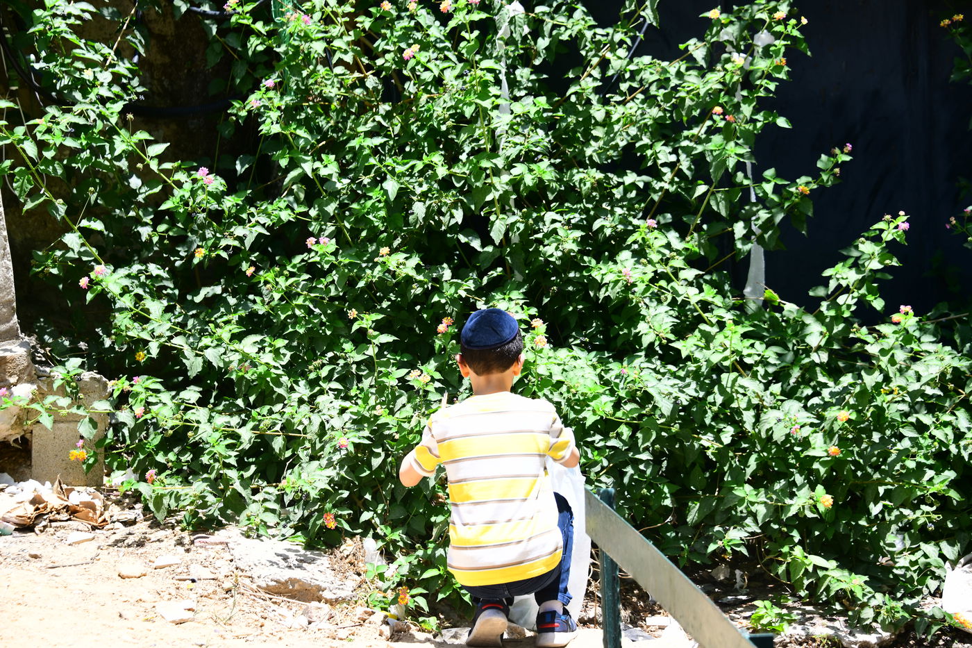 ערב שבועות תשפ"ה בעיר התורה והחסידות בני ברק