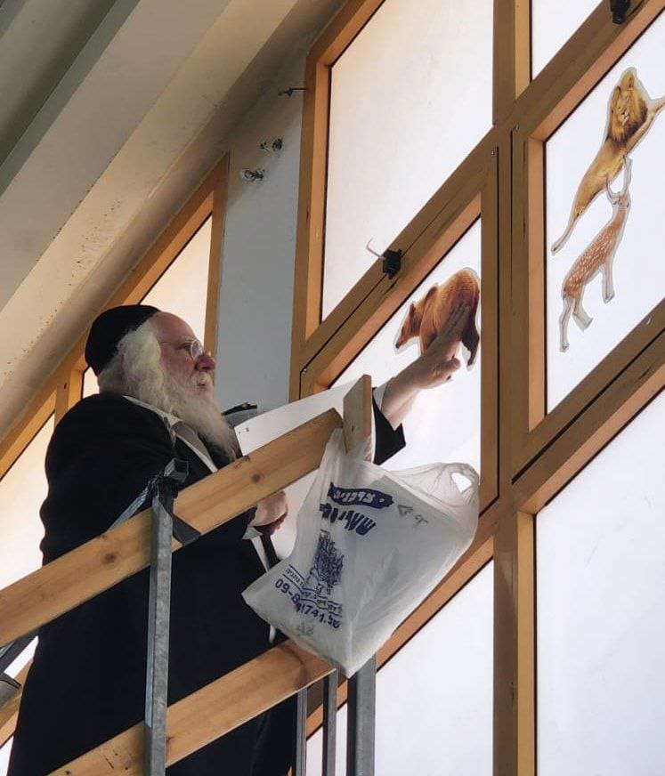 ‏החסיד ר' בערל רוזנברג נצפה במרומי הפארנצעס, לשם טיפס לקשט את ההיכל בחיות לרגל חג השבועות כפי שנהגו בחסידות