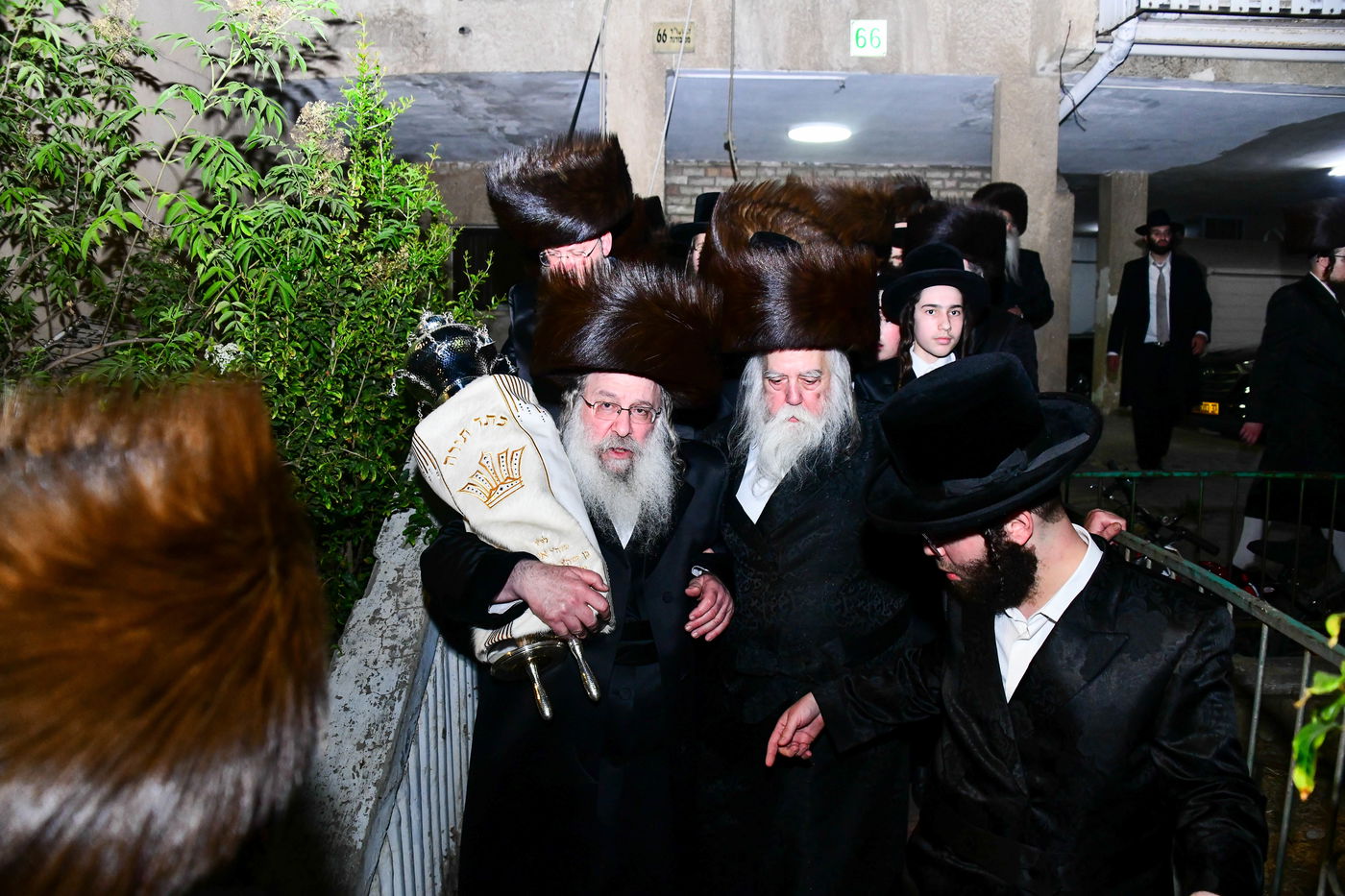 הכנסת ס"ת בנדבורנה