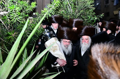 הכנסת ס"ת בנדבורנה