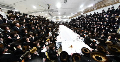 נעילת החג בחצה"ק מכנובקא בעלזא