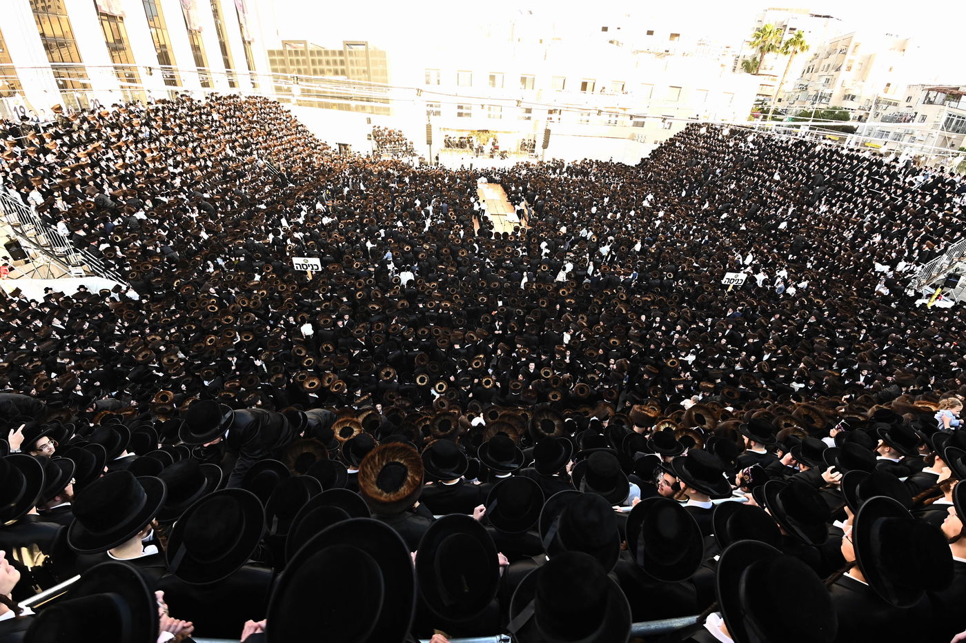 הכנסת ספר תורה לזכותו של האדמו"ר מבעלזא