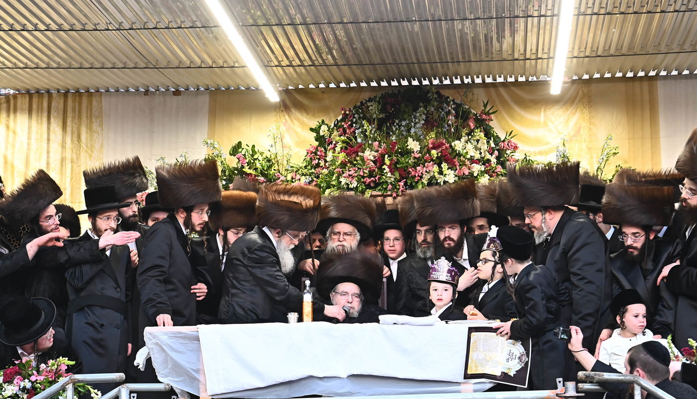 הכנסת ספר תורה לזכותו של האדמו"ר מבעלזא