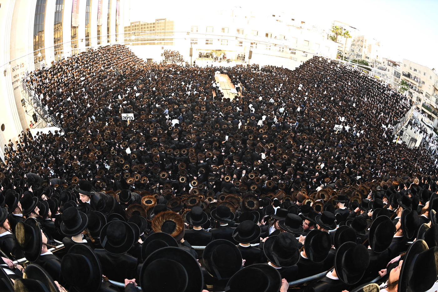 הכנסת ספר תורה לזכותו של האדמו"ר מבעלזא