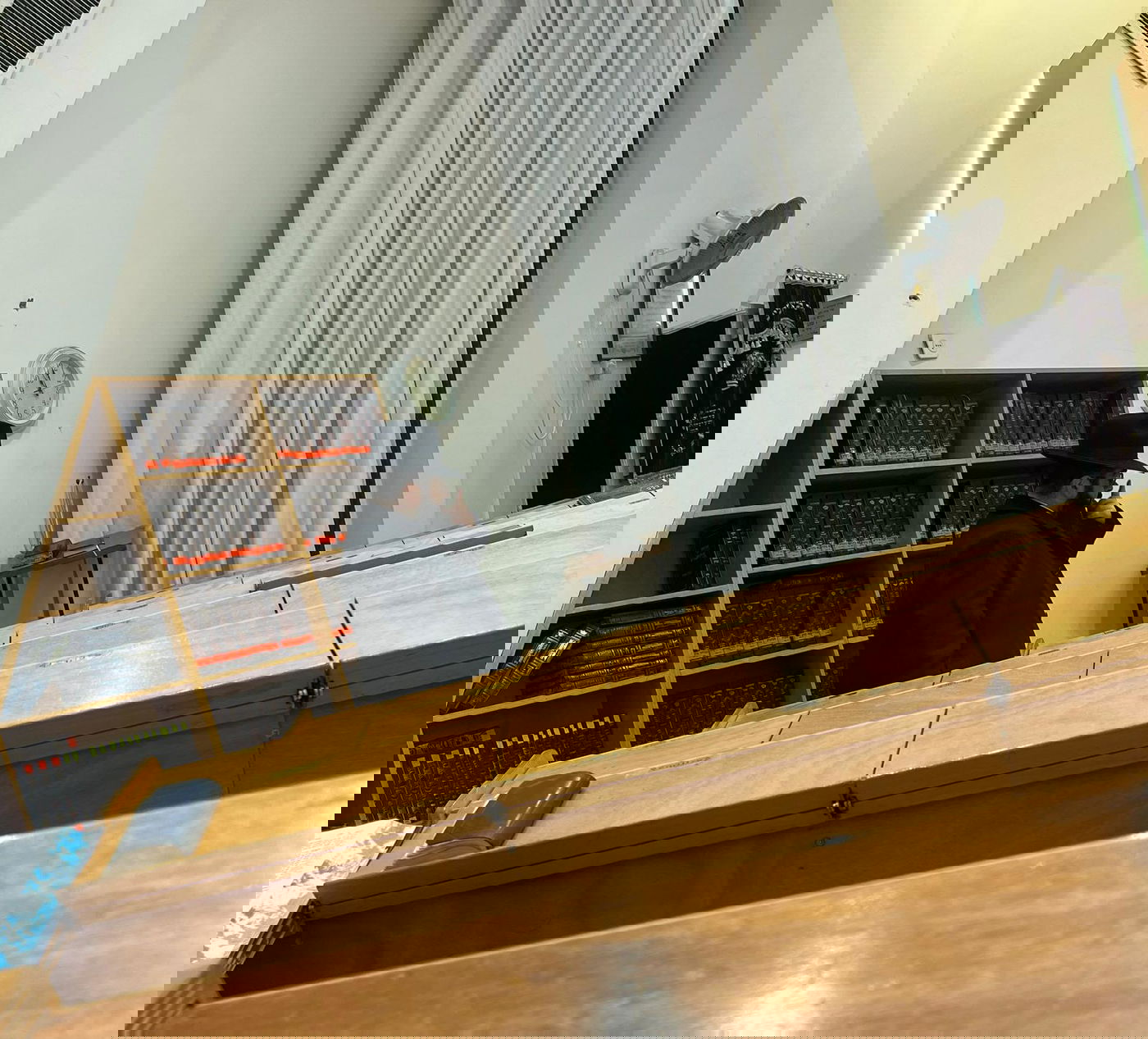 זופניק בכיכר | כל התמונות, הנייעס והחשיפות של השבוע שאסור לכם לפספס