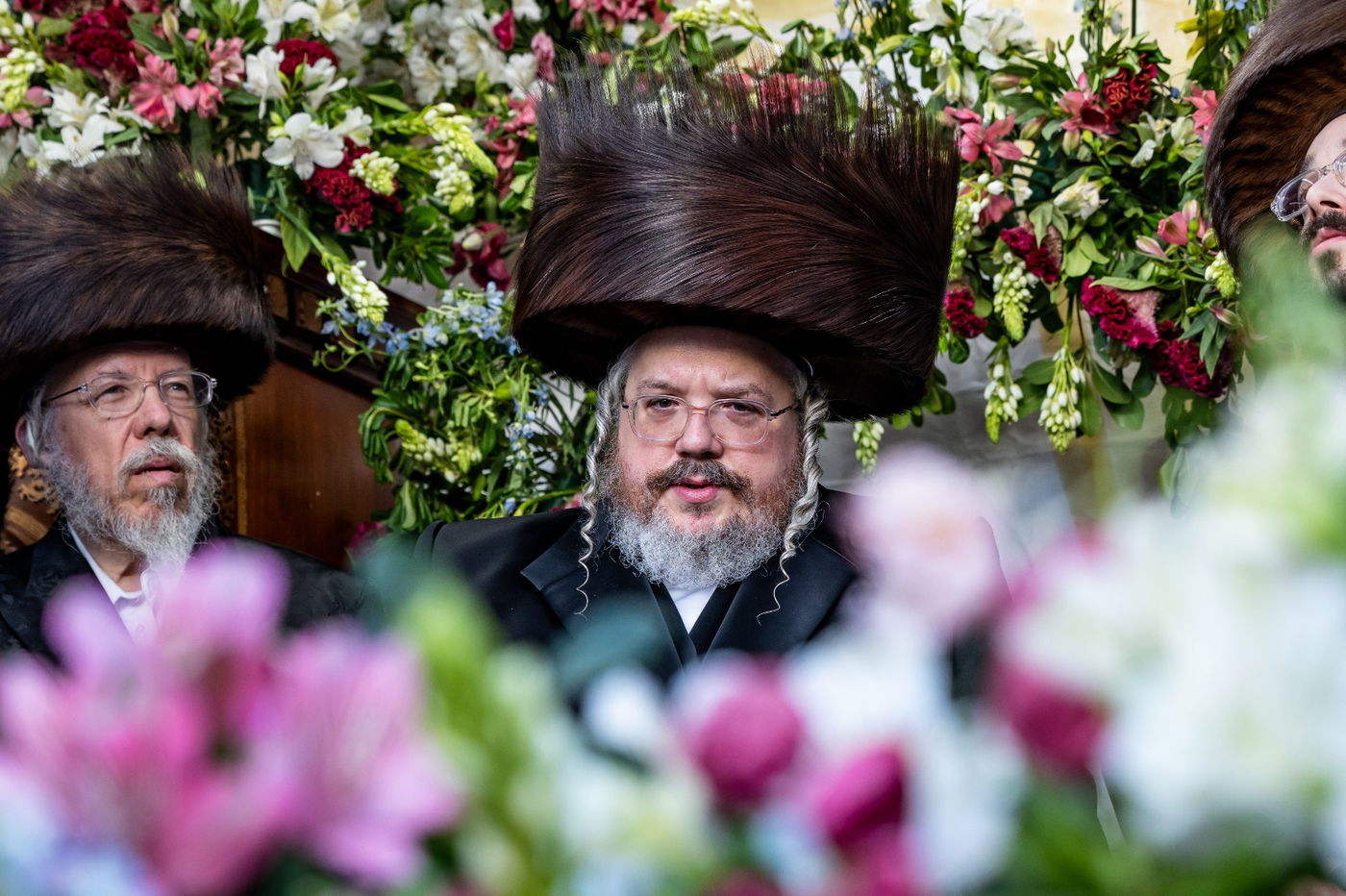 הכנסת ספר תורה לזכותו של האדמו"ר מבעלזא