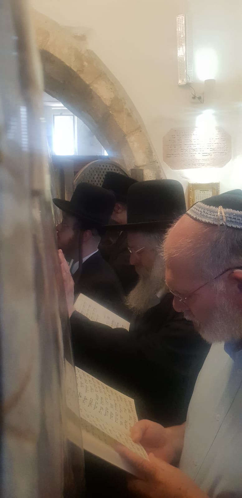 זופניק בכיכר | כל התמונות, הנייעס והחשיפות של השבוע שאסור לכם לפספס